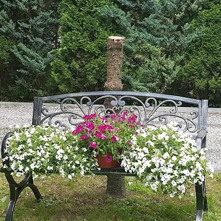 Goralski Puchatka
