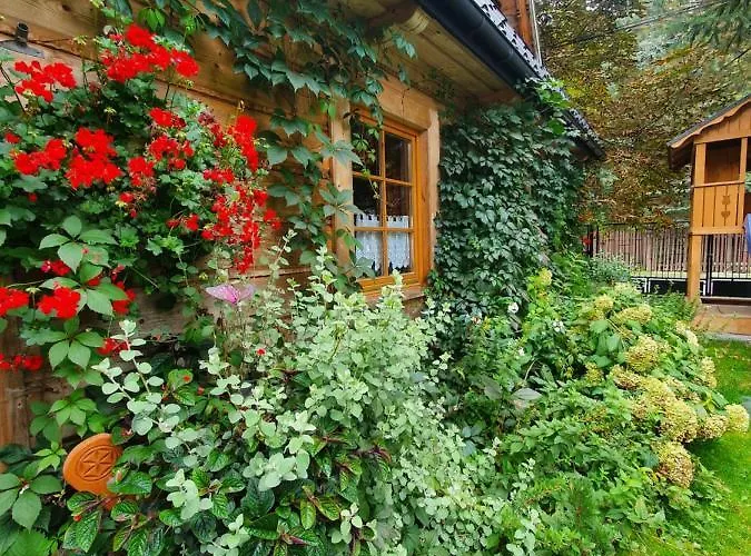 Hébergement de vacances Goralski Puchatka *